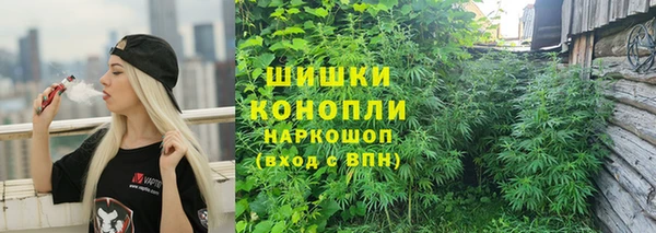бошки Кулебаки