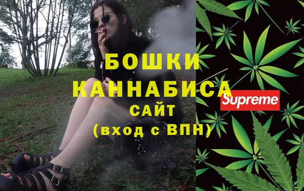 ALPHA PVP Бердск