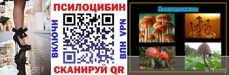 Купить  Краснозаводск  Псилоцибиновые грибы MAGIC MUSHROOMS 